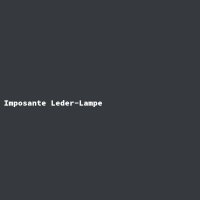 Imposante Leder-Lampe